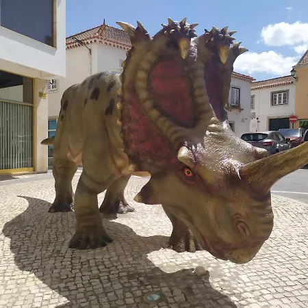 Terra Da Eira T1 - Sun, Sea And Relax Villa *