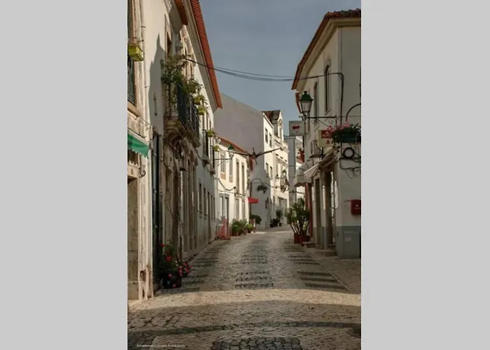 Terra Da Eira T1 - Sun, Sea And Relax * لورينها